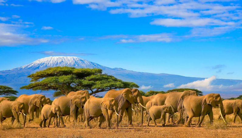 Kenya and Tanzania